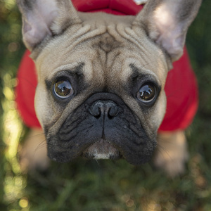 Fundraising Page: Cassie Amundson